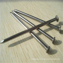 Hot Sale Common Nail com galvanizado